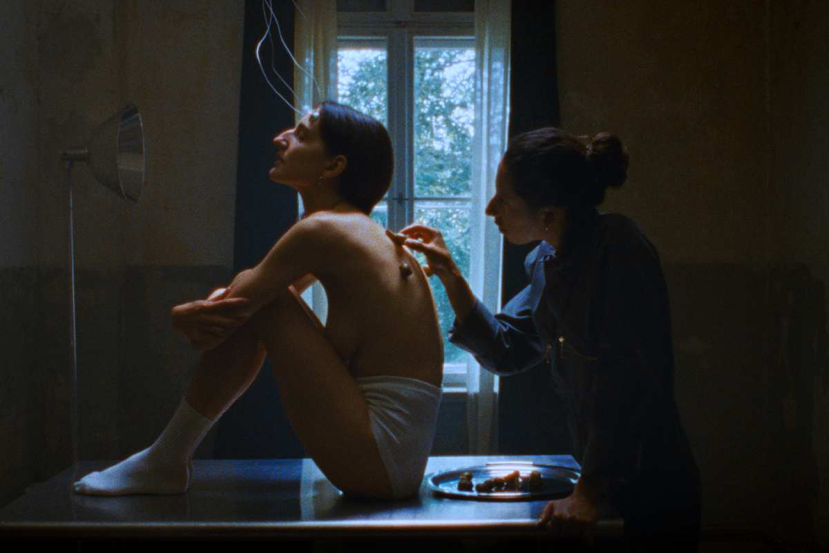 Film frame