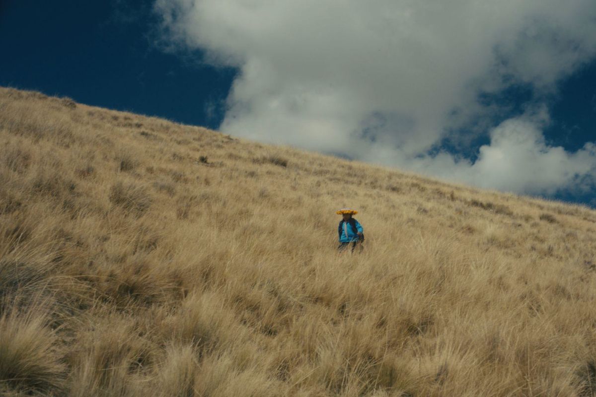 Film frame
